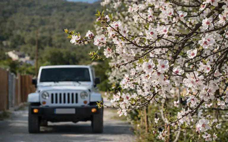 Paisajes únicos en coche por Ibiza | Hostal Rosell Boutique