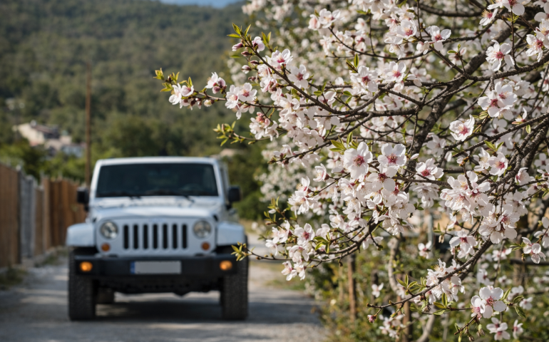 Ruta panorámica en coche por Ibiza con carretera costera y vistas al mar | hostal boutique en San Antonio Ibiza
