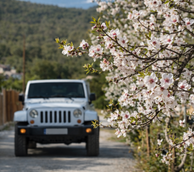 Ruta por Ibiza en 2 días en coche con vistas panorámicas y calas cerca de un hostal boutique en San Antonio Ibiza