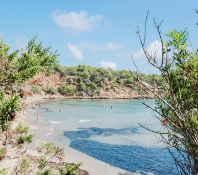 Cala Llenya, playa tranquila del noreste de Ibiza rodeada de pinos, ideal para una ruta desde un hostal boutique en San Antonio Ibiza